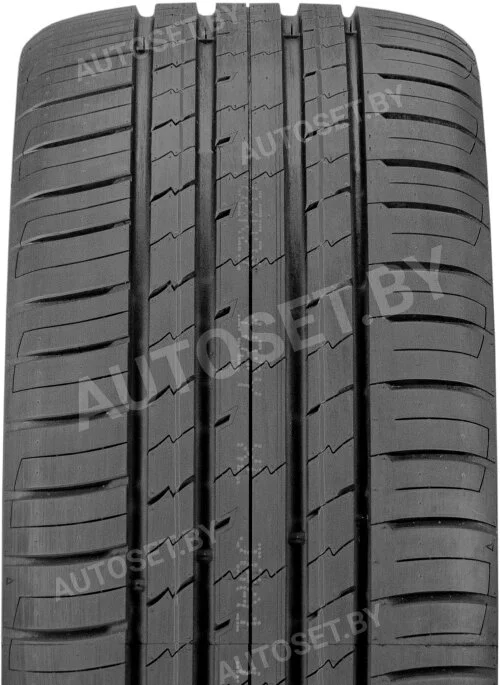 Летняя шина Roadking Argos RS01+